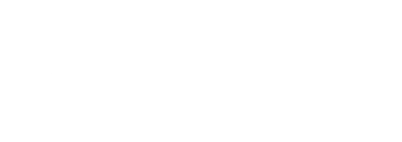 Sino Special Metal Co., Ltd.